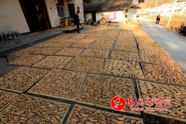 A_(ki)ԼN߀ոȺNֲ飬(dng)ȺÓؚ¸_meitu_2.jpg
