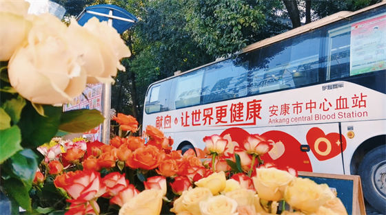 安康這三兄妹，熱血！